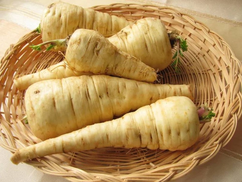 Dugi Bijeli paszternák, Pastinaca sativa, gyökérzöldség, zöldség